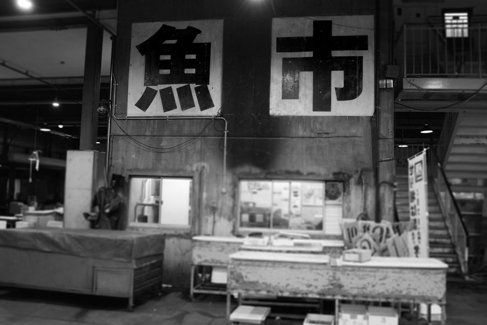 產地魚市